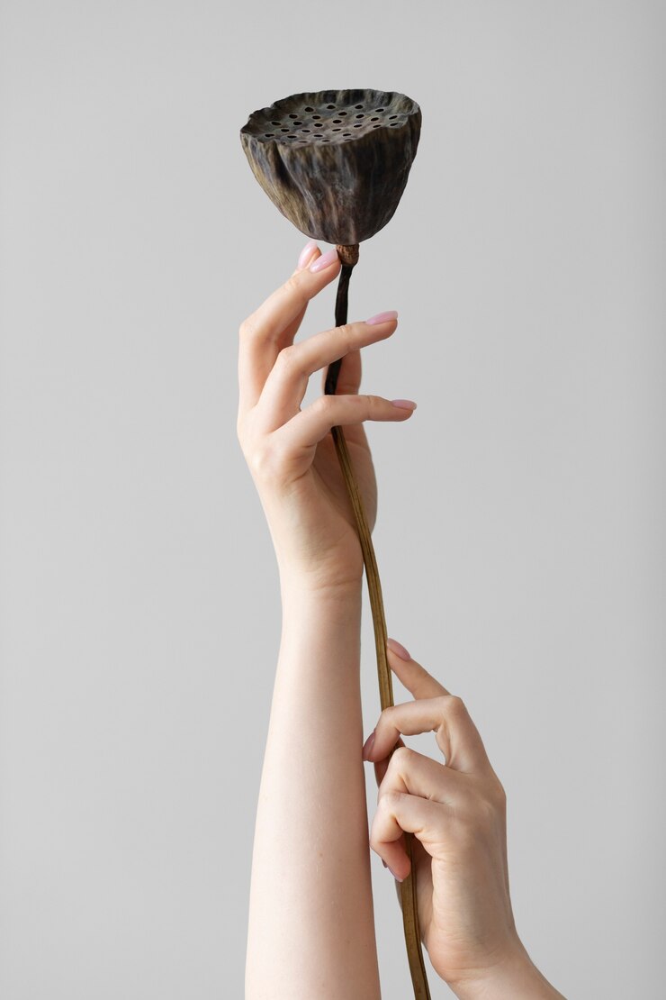 Die perfekte Nagelarchitektur: Balance und Proportionen