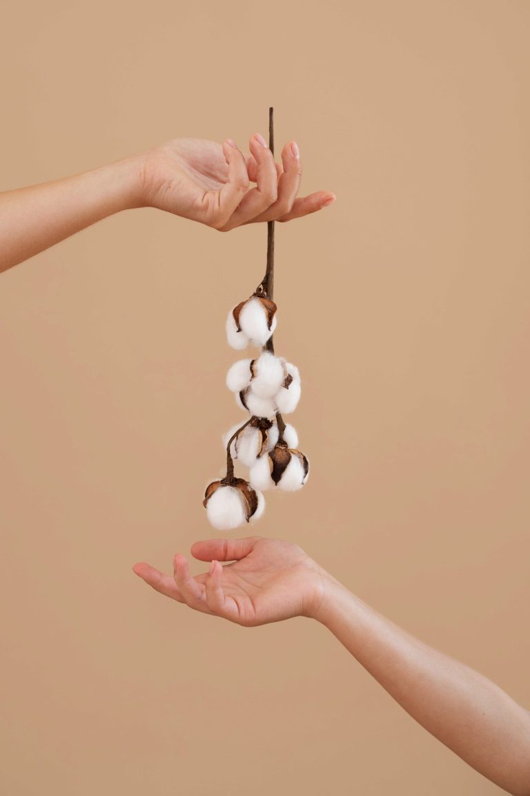 SPA-Maniküre: Theorie und Handpflege – MONLIS Schule München