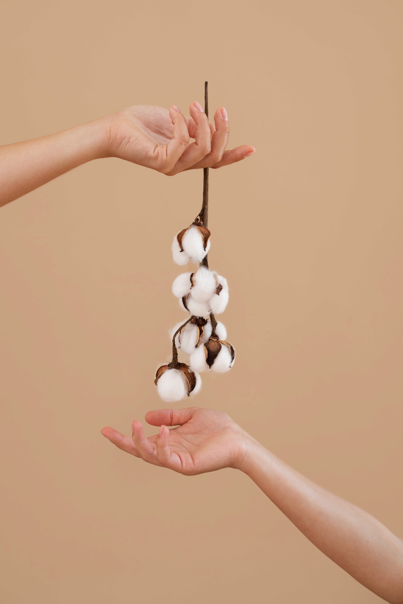 SPA-Maniküre: Theorie und Handpflege – MONLIS Schule München