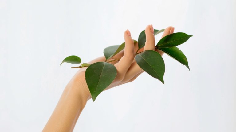 Eco-Maniküre in München: Natürliche Nagelpflege bei MONLIS Schule