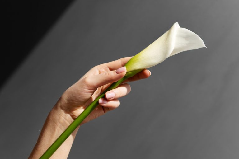 Trockene Nagelhaut: Pflege & Tipps – MONLIS Schule München