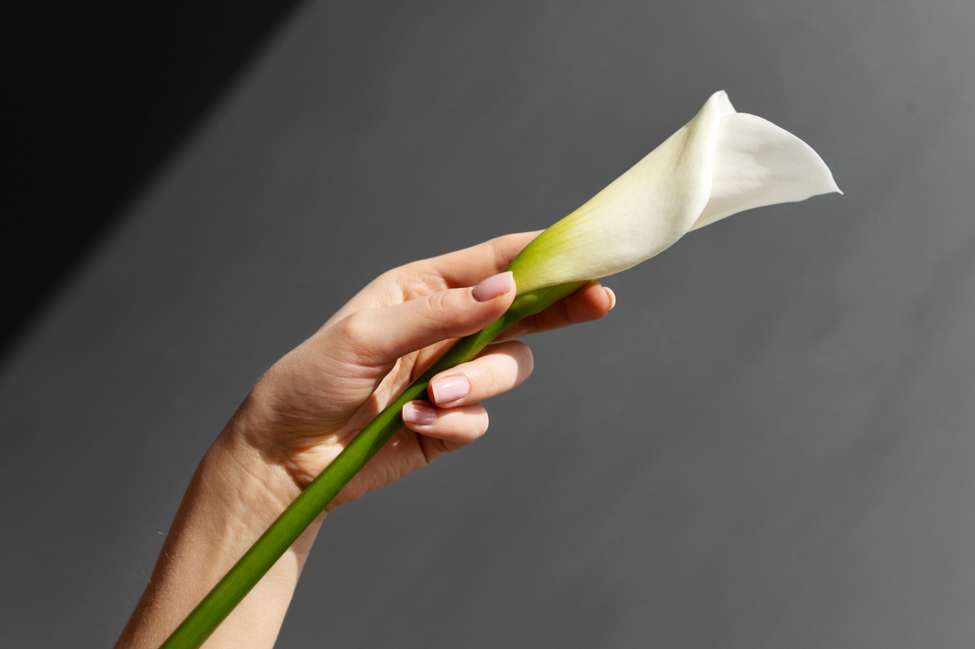 Trockene Nagelhaut: Pflege & Tipps – MONLIS Schule München